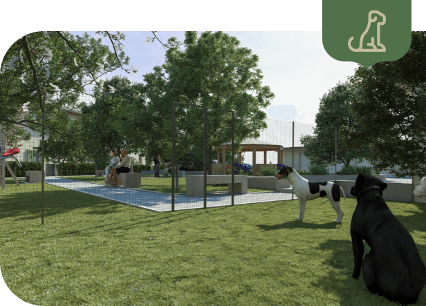 area cani 1
