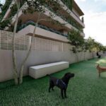 render giardino verticale pisa ferrante